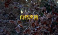 自然声音