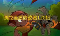 骁龙画质修改器120帧下载免root